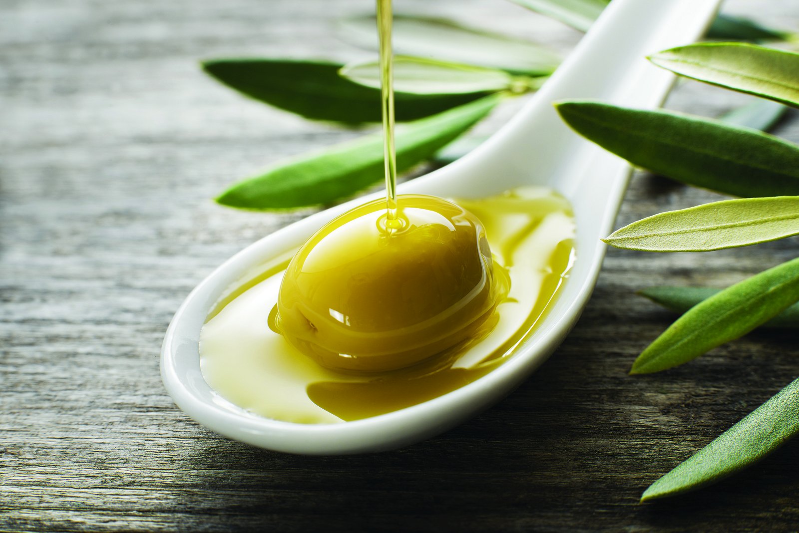 Olivenöl-Verkostungen