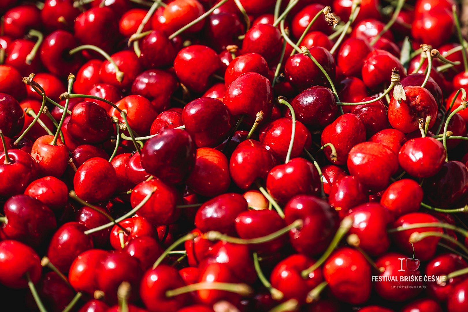 Brda Cherry Festival - in the villages of Brda 8th and 9th June 2024