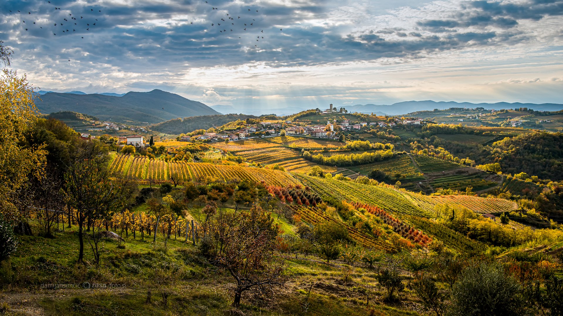 Autumn in Brda: A Feast for the Senses